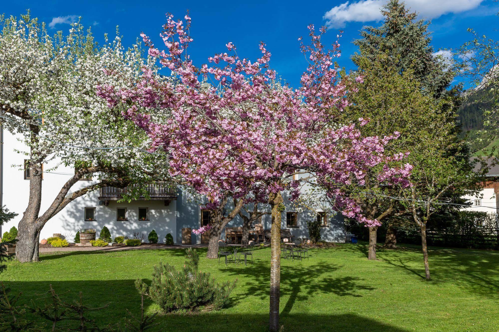 Residence Mitterdorfer Abfaltersbach Εξωτερικό φωτογραφία